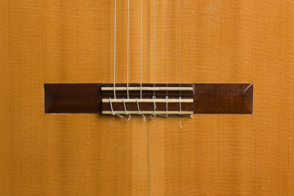 Kolya Panhuyzen Classical Guitar (1999)