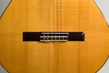 Thomas Prisloe Classical Guitar (2000)