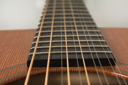 Circle Strings A-1 10 String Acoustic Flat Top Guitar (2018)