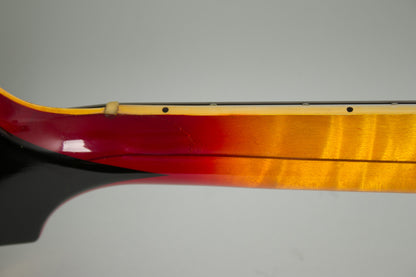 Gibson Barney Kessel Custom Arch Top Hollow Body Electric Guitar (1966)
