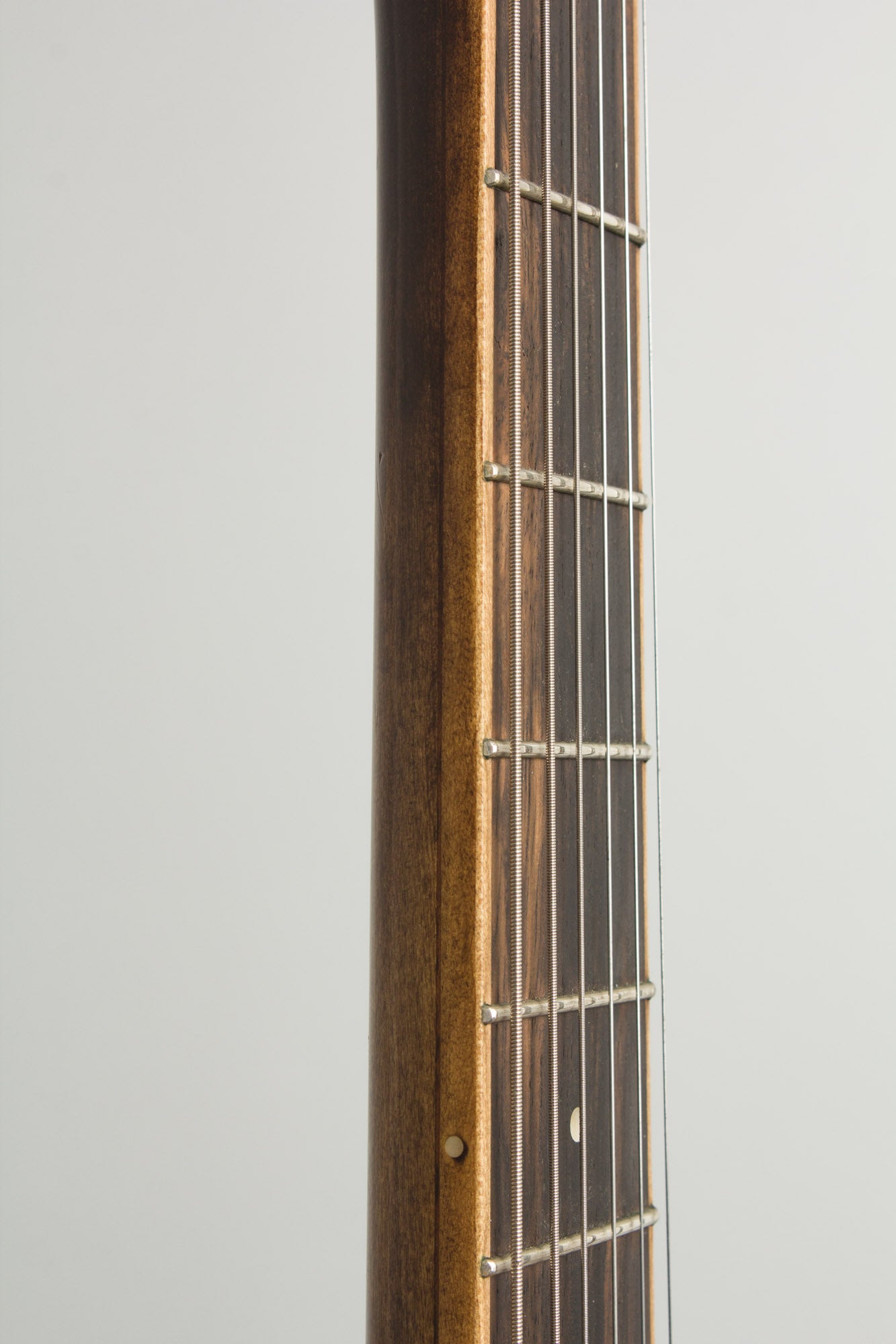 Mule Guitars Electric Resophonic Guitar (2015)