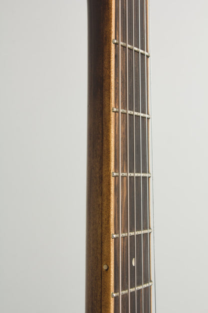 Mule Guitars Electric Resophonic Guitar (2015)