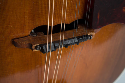 Vivi-Tone Hollow Body Electric Mandolin (1933)