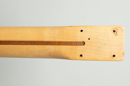 Fender Telecaster Solid Body Electric Guitar (1969)