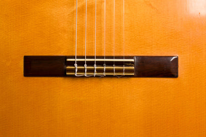 Del Pilar Classical Guitar (1980)