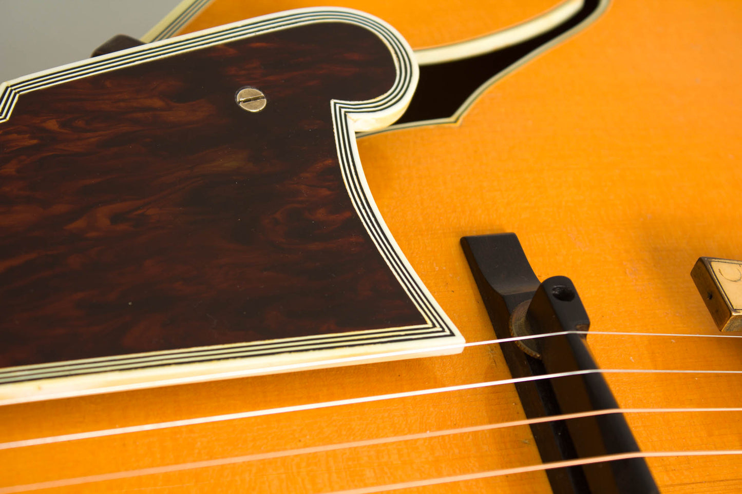D'Angelico Excel Cutaway Arch Top Acoustic Guitar (1960)