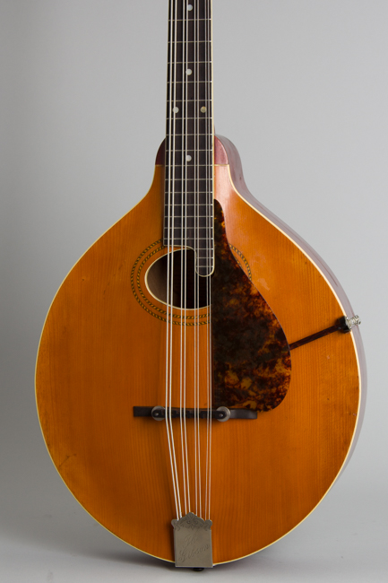 Gibson  K-1 Carved Top Mandocello  (1915)