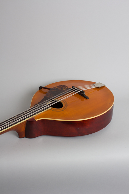 Gibson  K-1 Carved Top Mandocello  (1915)