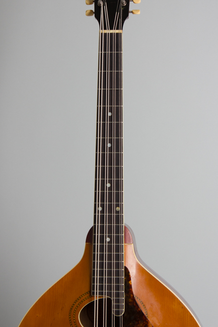 Gibson  K-1 Carved Top Mandocello  (1915)