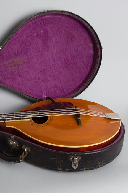 Gibson  K-1 Carved Top Mandocello  (1915)