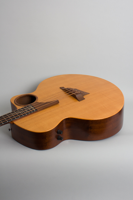 Taylor  Klein AB-1 Acoustic-Electric Bass Guitar  (1996)