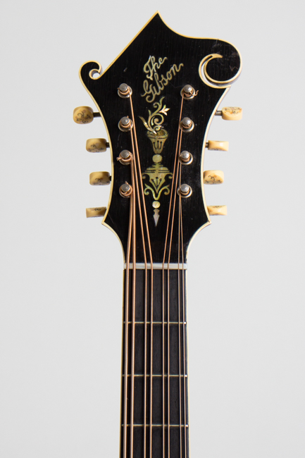 Gibson  K-4 Carved Top Mandocello  (1916)