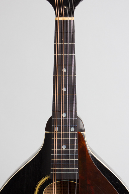 Gibson  Style A Snakehead Carved Top Mandolin  (1927)