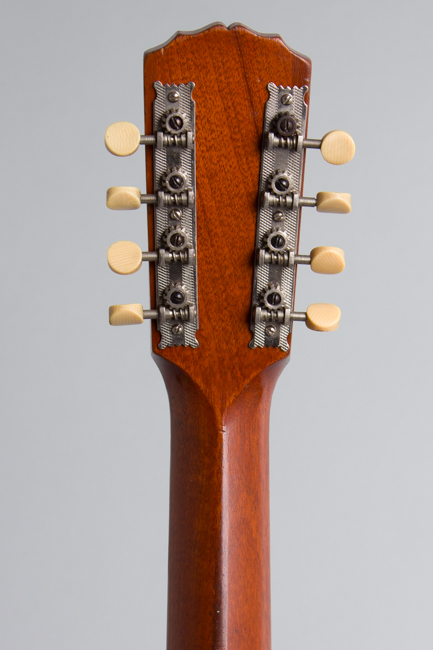 Gibson  K-1 Carved Top Mandocello  (1921)
