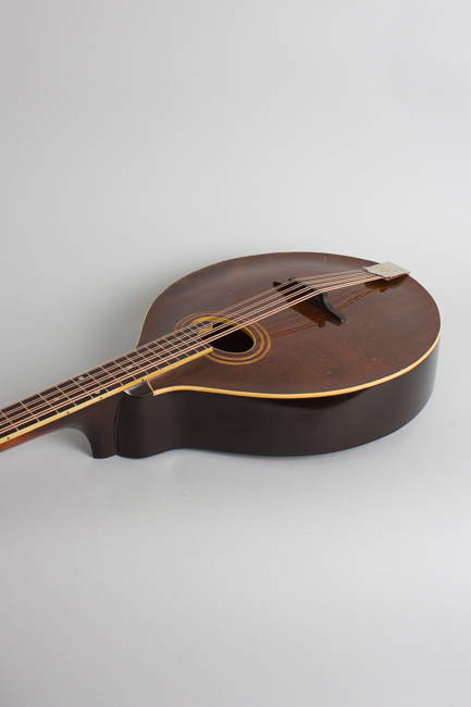Gibson  K-1 Carved Top Mandocello  (1921)