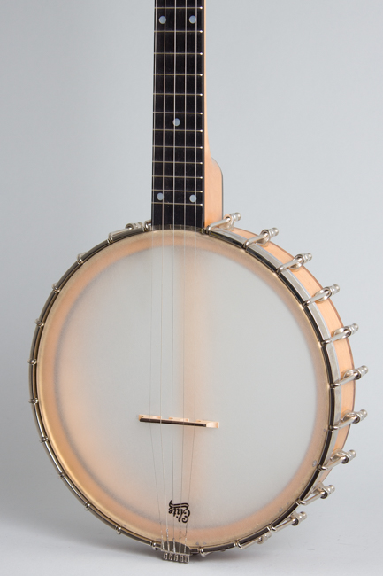 Bart Reiter  Special 5 String Banjo  (2017)