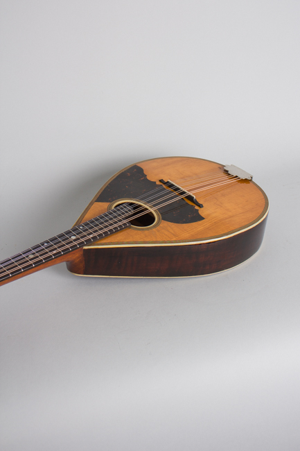  Maurer Flat Back, Bent Top Mandolin, made by Larson Brothers  (1917)