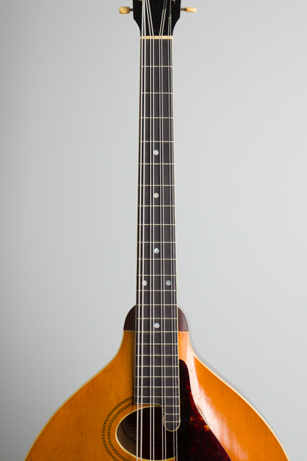 Gibson  K-1 Carved Top Mandocello  (1918)