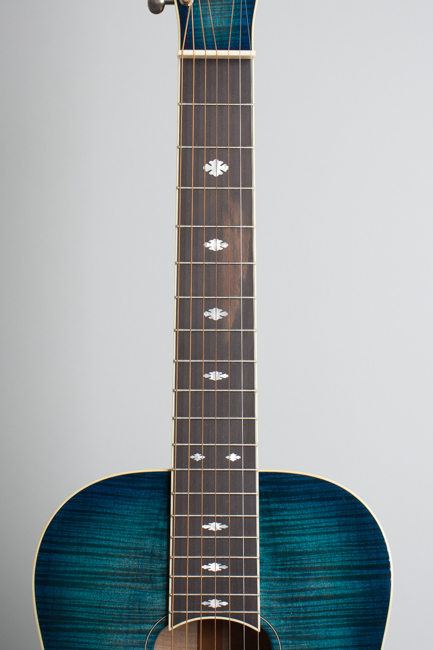 Beard  E Odyssey 7-string Resophonic Guitar  (2017)