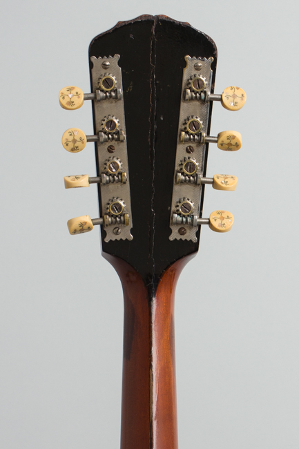 Gibson  A-4 Carved Top Mandolin  (1909)