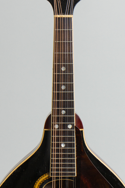 Gibson  A-4 Carved Top Mandolin  (1909)