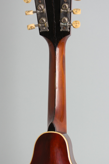 Gibson  A-4 Carved Top Mandolin  (1909)