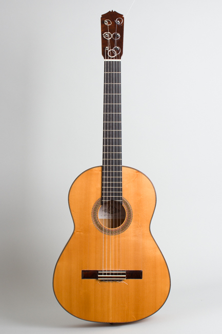 Darren Hippner  Barbero pattern Flamenco Guitar  (2013)