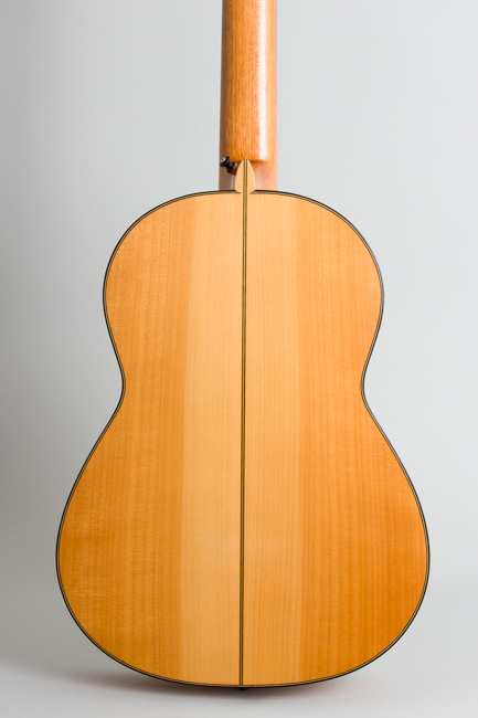 Darren Hippner  Barbero pattern Flamenco Guitar  (2013)