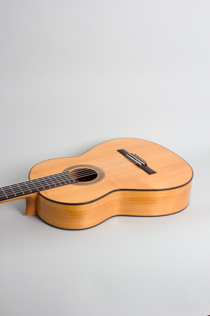 Darren Hippner  Barbero pattern Flamenco Guitar  (2013)