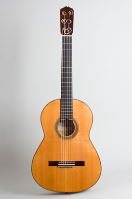 Darren Hippner  Barbero pattern Flamenco Guitar  (2013)