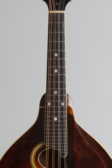 Gibson  A-4 Carved Top Mandolin  (1928)