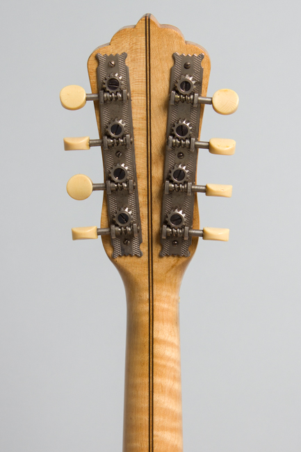 Favilla Bros.  Mandolin Banjo ,  c. 1920