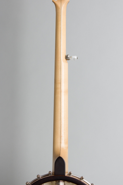 Bart Reiter  Special 5 String Banjo  (1996)