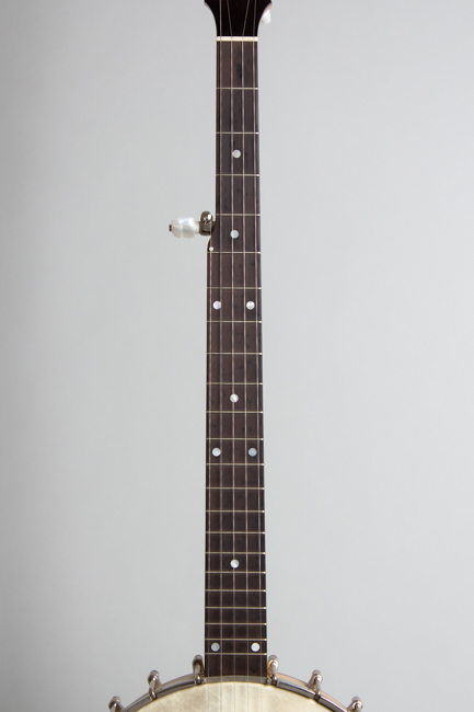 Bart Reiter  Special 5 String Banjo  (2003)