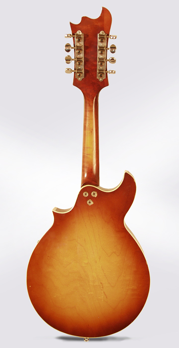 Harmony  H8025 Arch Top Mandolin  (1972)