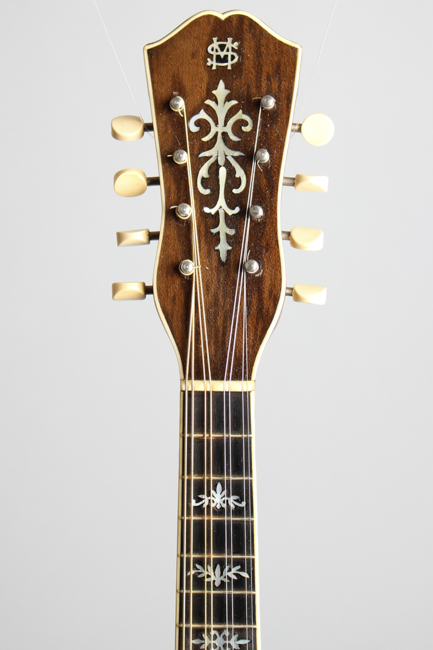 Favilla  Marca Aquilla Flat Back, Bent Top Mandolin ,  c. 1925