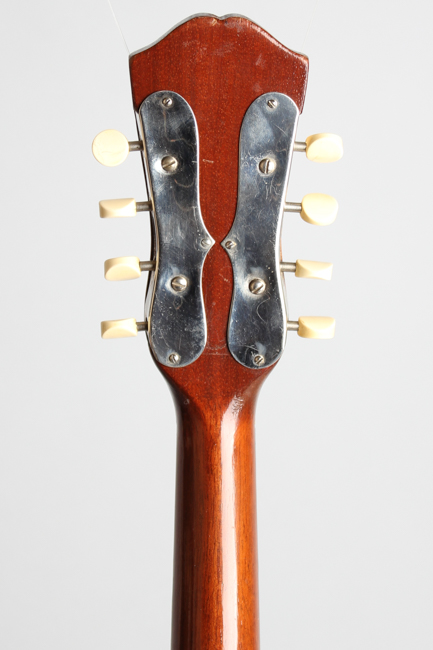 Favilla  Marca Aquilla Flat Back, Bent Top Mandolin ,  c. 1925