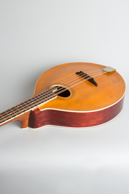 Gibson  K-1 Carved Top Mandocello  (1912)