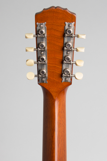 Gibson  K-1 Carved Top Mandocello  (1914)