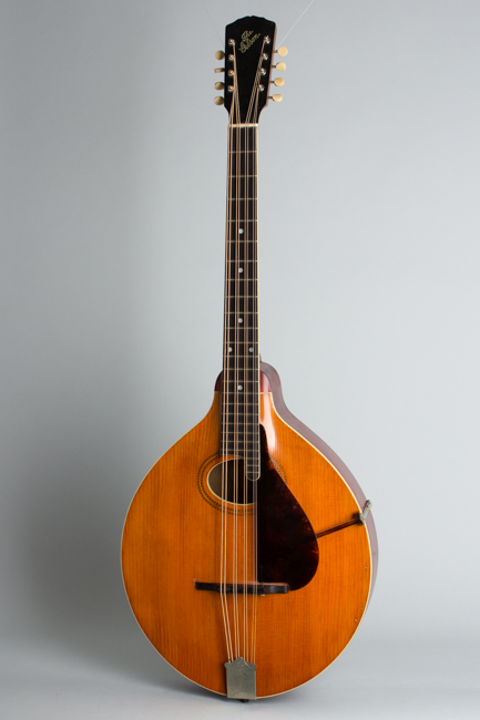 Gibson  K-1 Carved Top Mandocello  (1912)