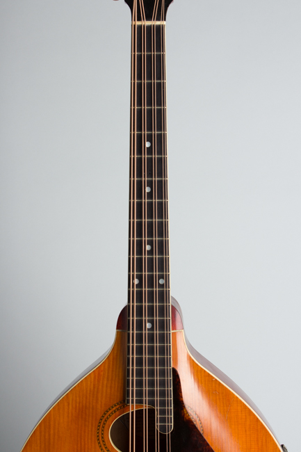 Gibson  K-1 Carved Top Mandocello  (1912)